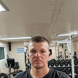 , 37, 