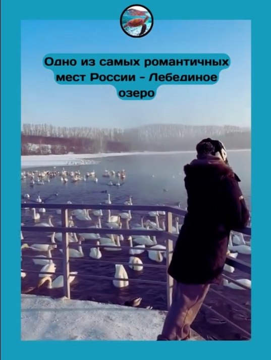  ,     ,    .  ... - 3