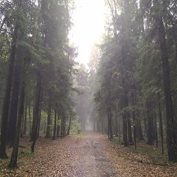 �����, ������, 22 ����