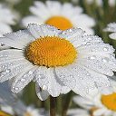 ���� �������, �������, 65 ��� - ��������� 27 ���� 2024 � ������ ������ ��������