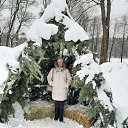 ���� �����, ������, 55 ��� - ��������� 23 ������ 2026 � ������ ���� ����������