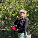 ���� ������, �������, 60 ��� - ��������� 3 ������ 2024 � ������ ���� ����������