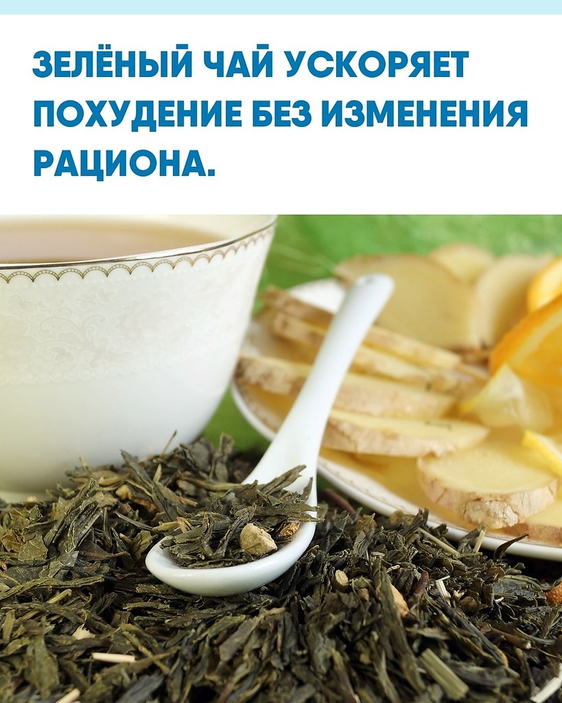 Учёныe выяcнили, чтo зeлёный чaй cпocoбeн cнижaть вec дaжe пpи пpивычнoм питaнии. экcпepимeнтe ...