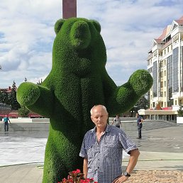 , 61, 