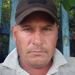 ����, ������, 38 ���