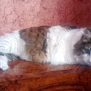 ���� ���������, ��������, 67 ��� - ��������� 18 ������� 2023 � ������ ���� ����������