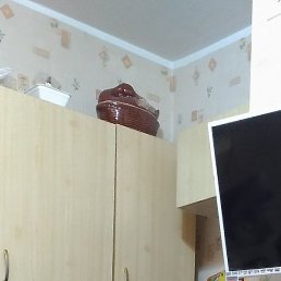 �������, ������, 44 ����