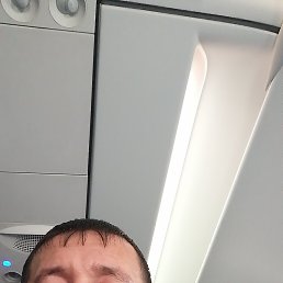 ����, 36 ���, ���������