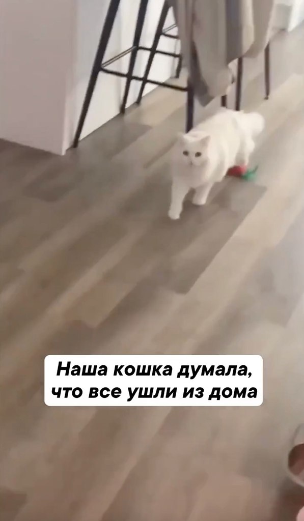   ! - 2