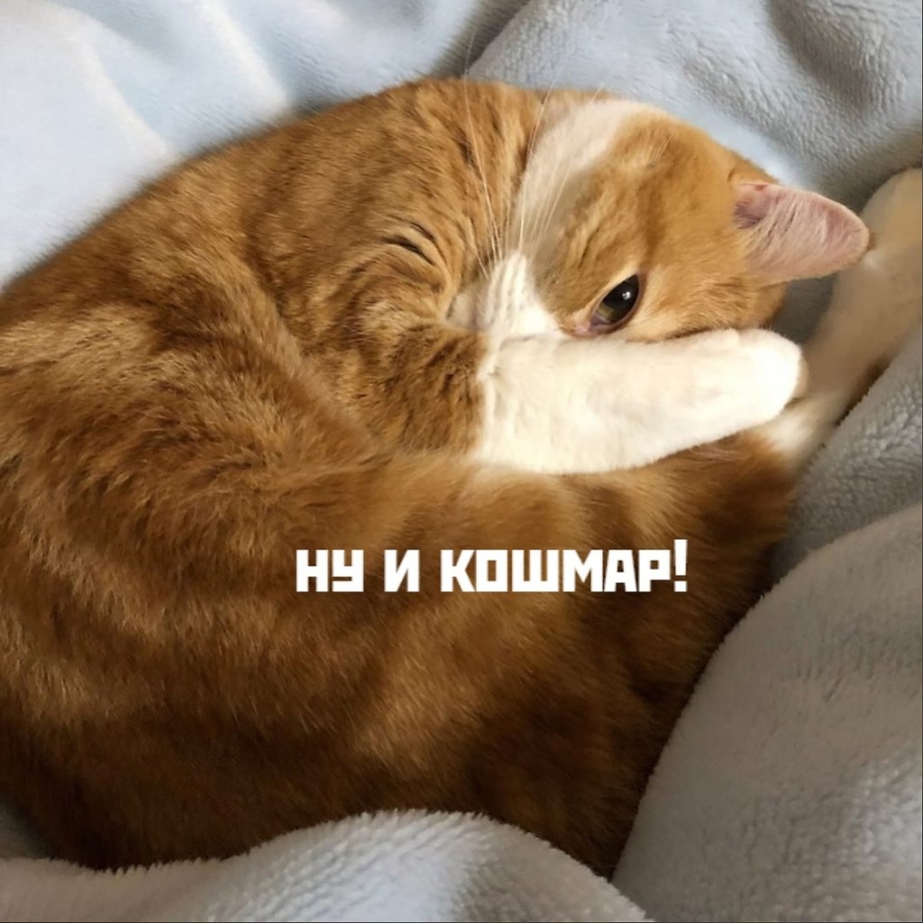       - 10  2025  17:30 - 2