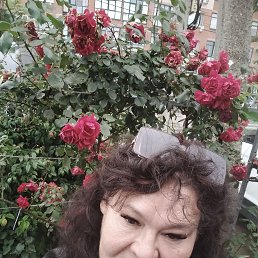 , 54, 