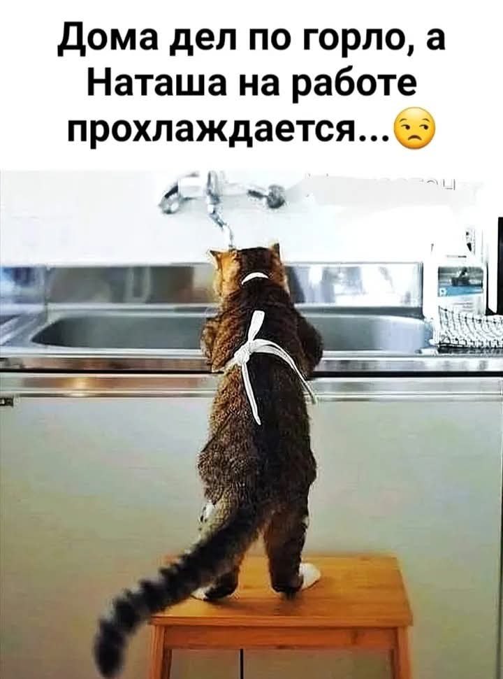 :) .     .    .  .    !   ...