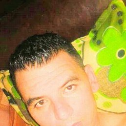  , 41, 