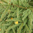 ���� �������, ������, 58 ��� - ��������� 7 ������� 2025 � ������ ���� ���� - �� �������