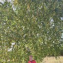 ���� ������, ���������� ����� - ��������� 26 ������ 2026 � ������ ���� ����������