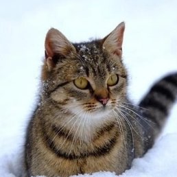 ����, ������, 19 ���