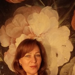 ���� �����, ������������, 50 ��� - ��������� 22 ������� 2025