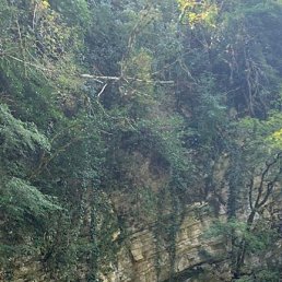 ��������, 50 ���, �������