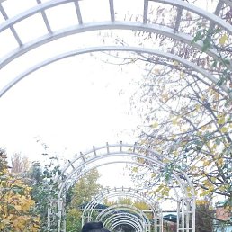 ���� Elena, ������, 45 ��� - ��������� 9 ������ 2026