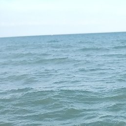 ���������, ������, 43 ����