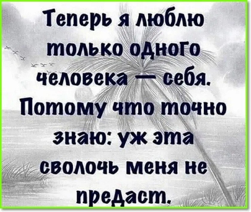 ☆ ☆ - 30  2025  12:38