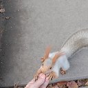 ���� ���������, ����, 59 ��� - ��������� 12 ������ 2023