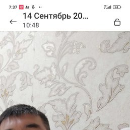 ���� �������, ������, 48 ��� - ��������� 18 ������� 2025