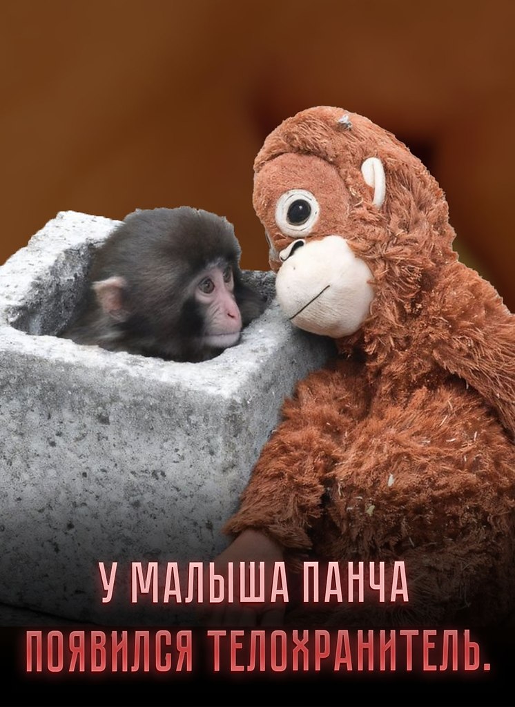 ����� ������� ������ ��������� ������ ��� � �������� � �� ���������� ������. ������ �� ��� ...