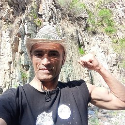 , 42, 
