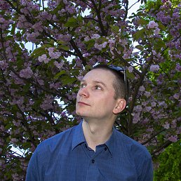 ���������, ��������, 39 ���