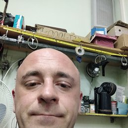 , 42, 