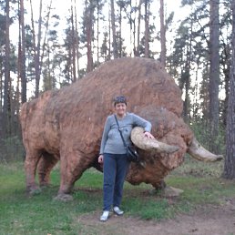 , 59, 