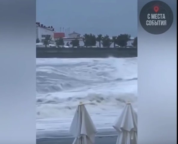 20-������ �������, ��������� � ���� � ����, �������. �������. ����������� �������� �� ��������� ...