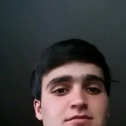 , 29, 