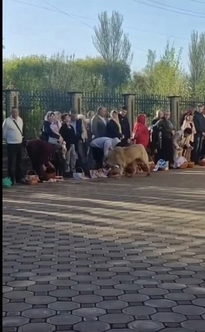 Большой белый пёс ходил по кругу. Люди стояли рядом с церковью и ждали прихода священника. У их ног ... - 2