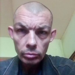 ������, ������, 51 ���