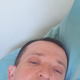 , 33, 