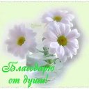 ���� ������, ������ - ��������� 23 ���� 2026 � ������ ������ ��������