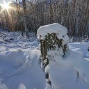���� Oleg, ������, 52 ���� - ��������� 22 ������� 2023 � ������ ������ ��������