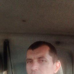 ������, �����, 44 ����