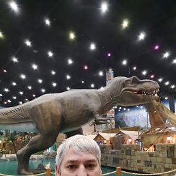 ���, ������, 55 ���