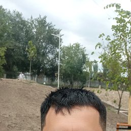 , 29, 
