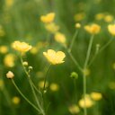 ���� �������, ������ - ��������� 17 �������� 2026 � ������ ������ ��������