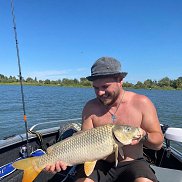 �������, 36 ���, ������