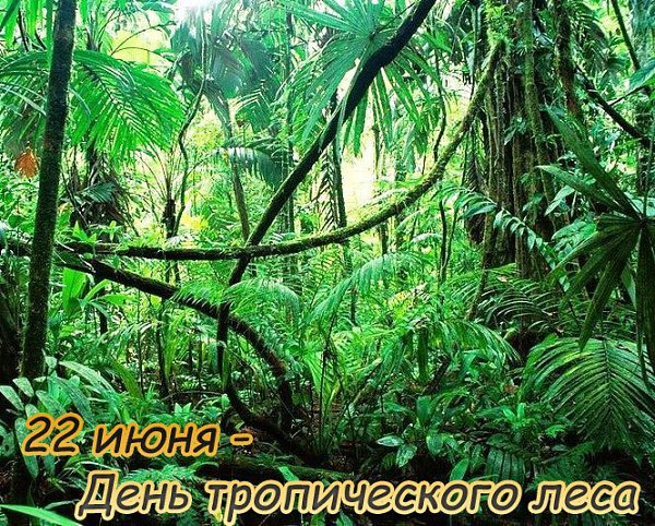 �������: ������, ��������, ������, �����, �����, �������, ���������, �����, ���� - 4