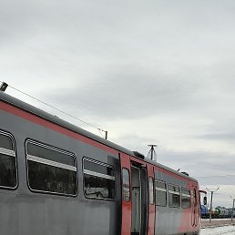  , , 54  -  21  2024