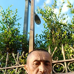 , 52, 