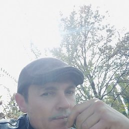 �����, ����������, 42 ����