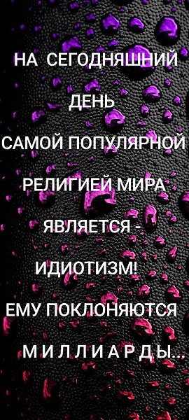   - 15  2024  12:54