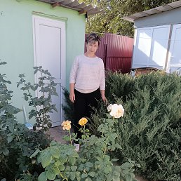 , 58, -